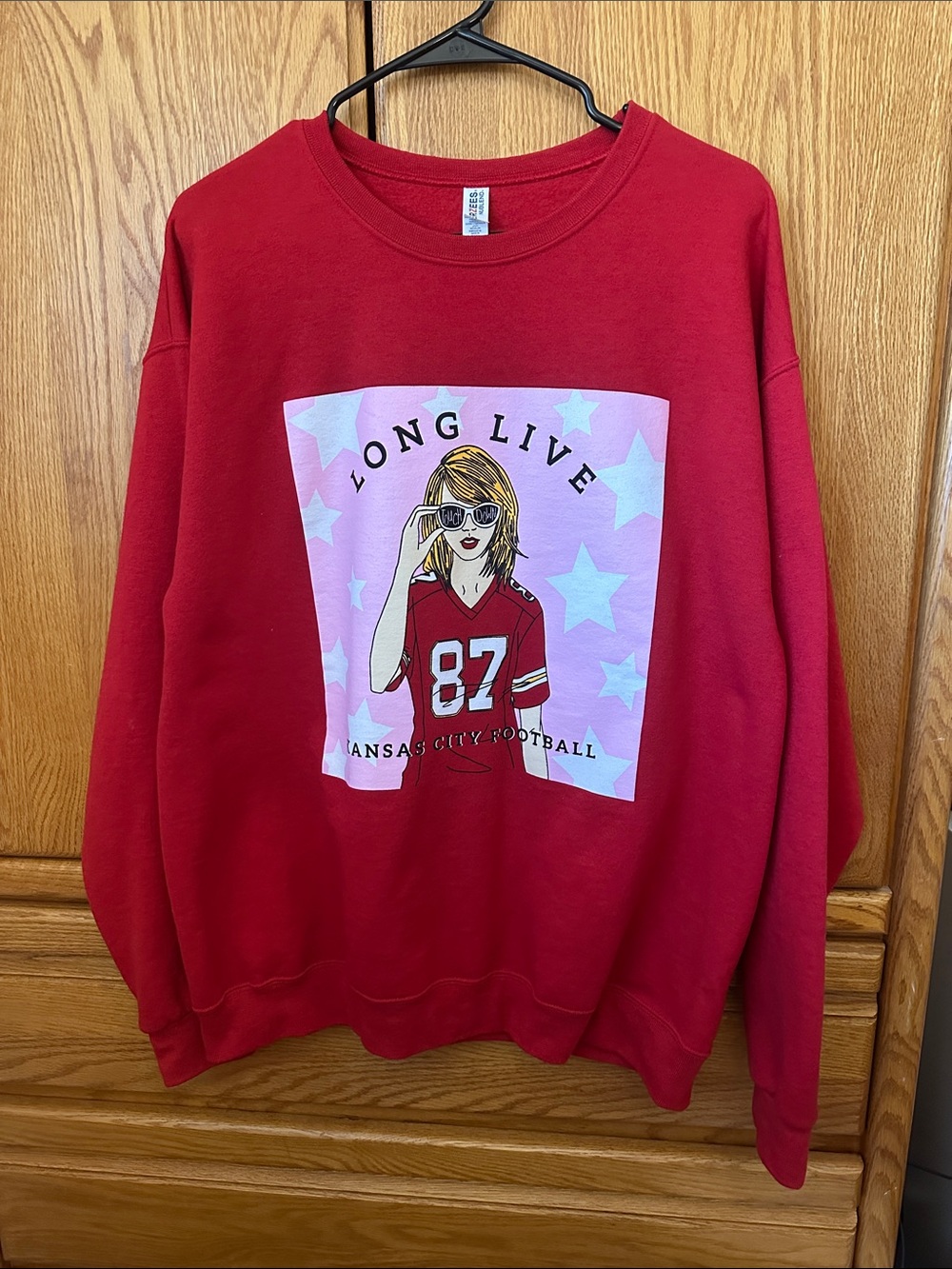 Pink Dinosaur Boutique Taylor Swift pull over
